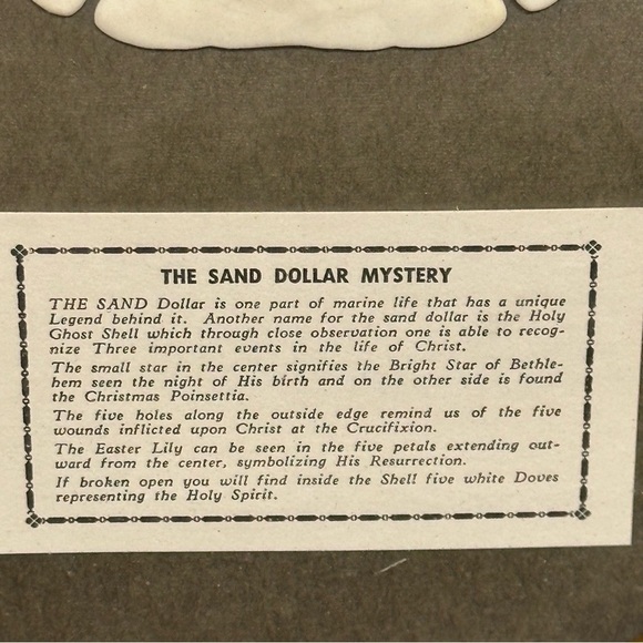 Sand Dollar Mystery Framed Shadow Box Art 9 in X 11 in Real Painted Sand Dollar - Picture 7 of 8